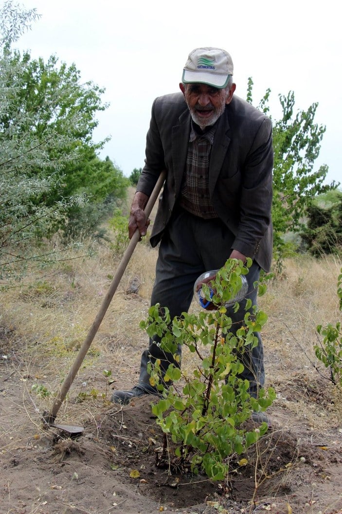 Nevşehir'de, 34 yıl boyunca her gün ağaç dikti