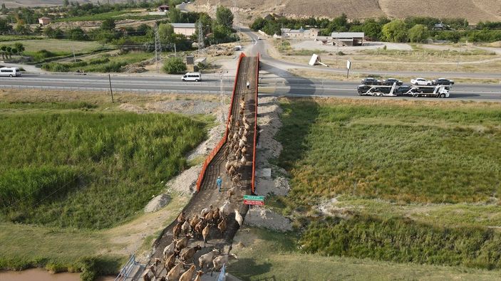 a Erzincan'da Ekolojik Üst Geçit, güvenli geçiş rotası oldu