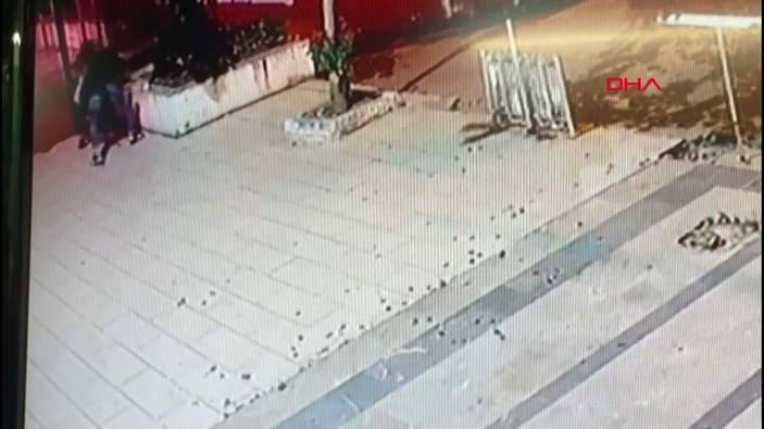 Üsküdar'da kediyi tekmeleyip öldüren şahıs, tutuklandı