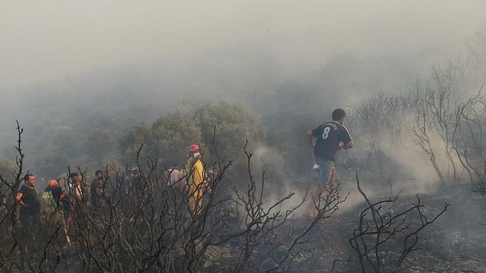 d Datça'da makilik ve zeytinlik alanda yangın çıktı