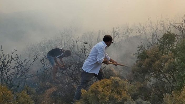 D Datça'da makilik ve zeytinlik alanda yangın çıktı
