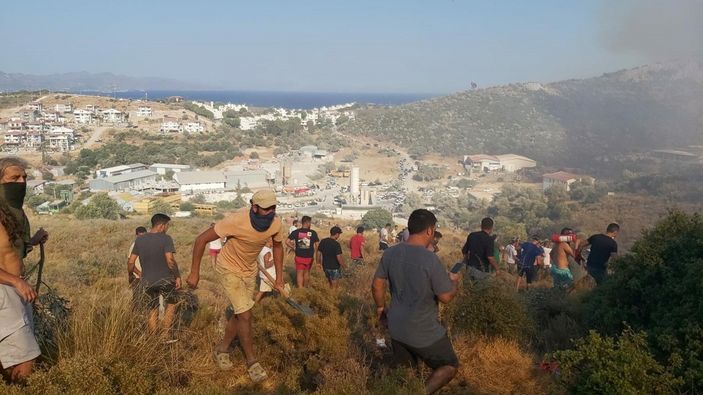 d Datça'da makilik ve zeytinlik alanda yangın çıktı