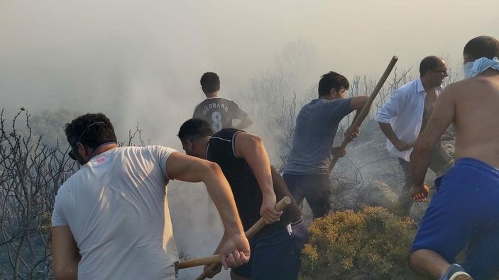 d Datça'da makilik ve zeytinlik alanda yangın çıktı