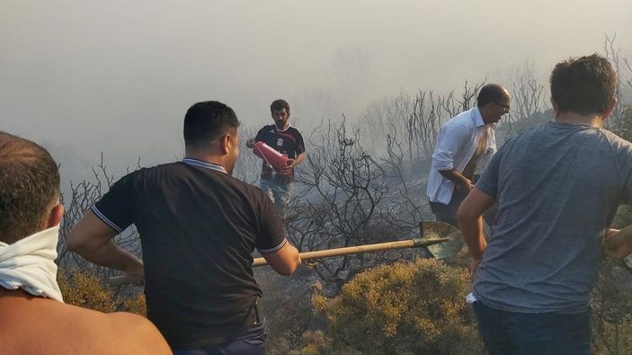 d Datça'da makilik ve zeytinlik alanda yangın çıktı