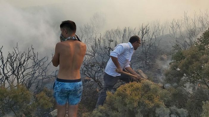 d Datça'da makilik ve zeytinlik alanda yangın çıktı