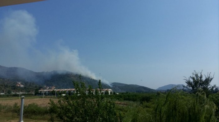 Dalaman'da orman yangını çıktı