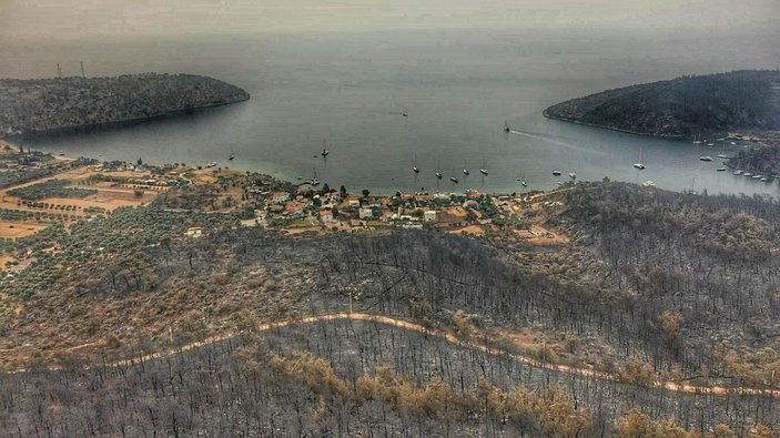 Orman yangınlarının çıktığı Bodrum ve Milas'ın son hali