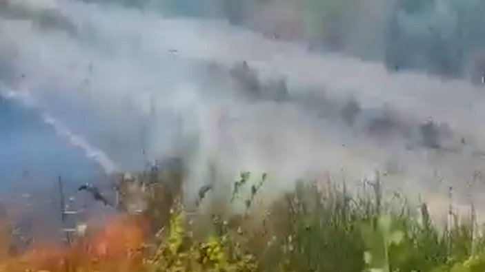 İtalya'da yangın çıkaran kundakçı, kameraya yakalandı