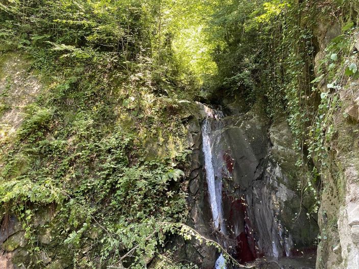Bartın’da keşfedilen şelale, turizme kazandırılacak