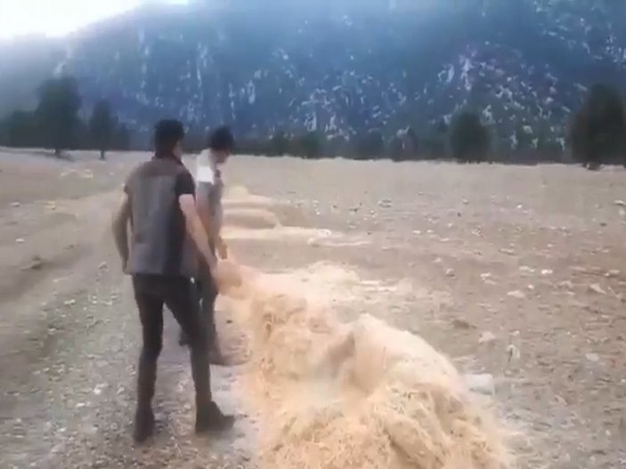 Antalya'da yanan alanlara yılkı atları için suluk, saman ve yem bırakıldı