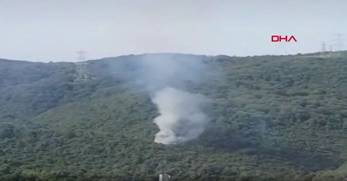 Sarıyer'de orman yangını