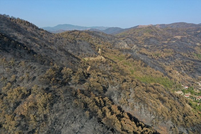 Marmaris Kızkumu Plajı çevresinde yanan ormanlık alanlar havadan görüntülendi