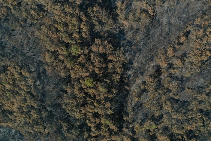 Marmaris Kızkumu Plajı çevresinde yanan ormanlık alanlar havadan görüntülendi