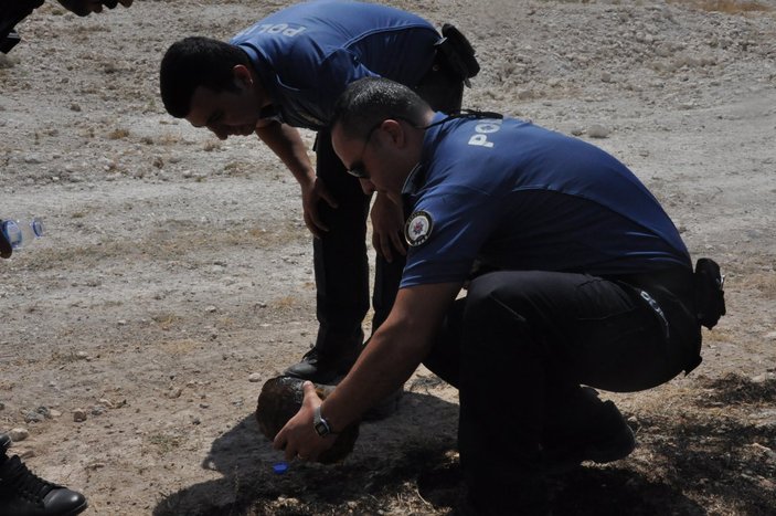 Karaman’da alevlerin arasında kalan kaplumbağayı polis ekipleri kurtardı