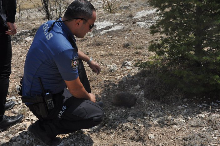 Karaman’da alevlerin arasında kalan kaplumbağayı polis ekipleri kurtardı