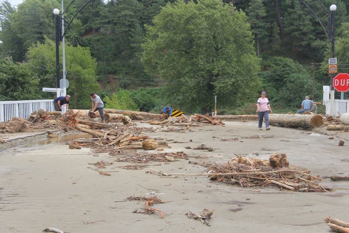 Ayancık'ta vatandaşlar kışlık odunu selden çıkarıyor
