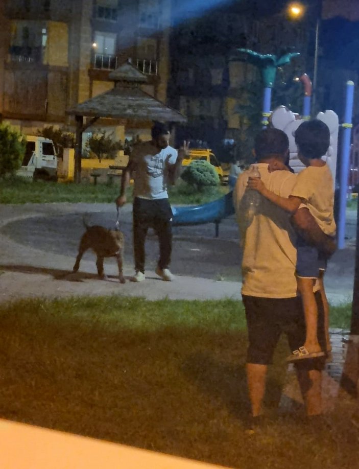 Antalya’da bir kadın, 2 pitbull köpeğinin saldırısına uğradı