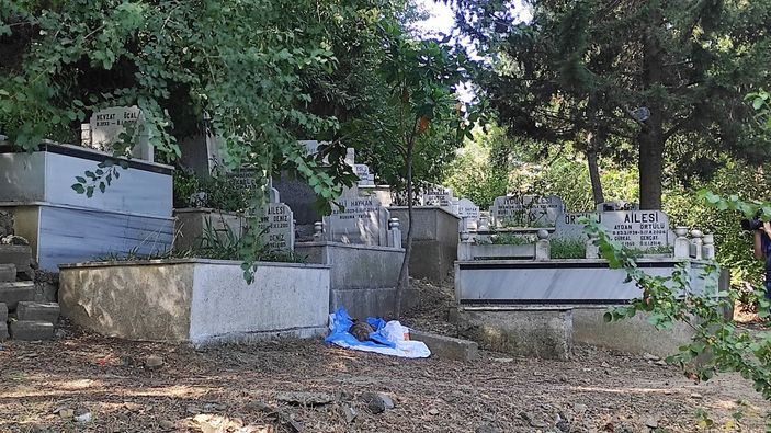 d Şişli'de panik: İnsan cesedi zannedildi, köpek ölüsü çıktı
