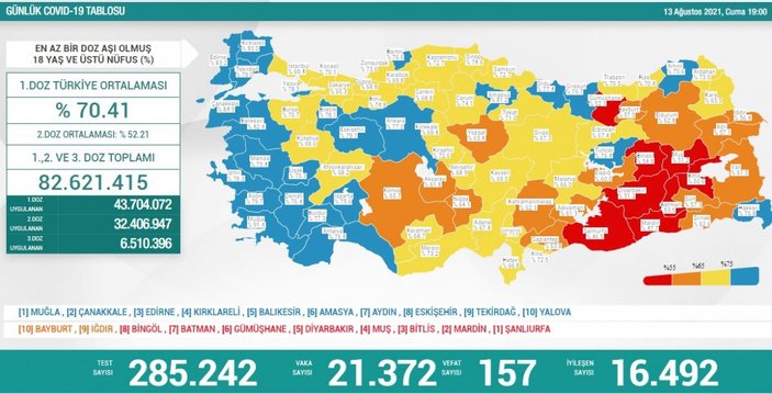 13 Ağustos Türkiye'de koronavirüs tablosu