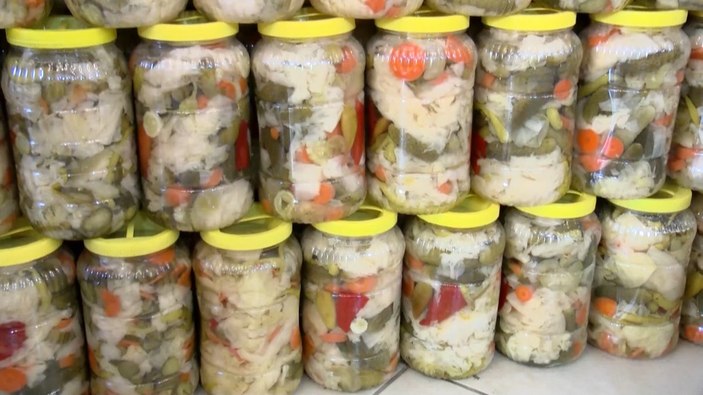 Bağırsak florasını koruyan 6 probiyotik gıda