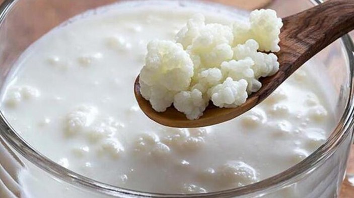 Bağırsak florasını koruyan 6 probiyotik gıda
