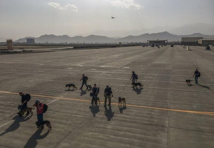 ABD, asker köpeklerini uçakla tahliye etti