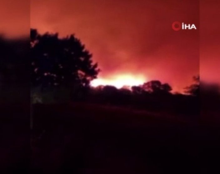 Fransa'daki orman yangınlarında 7 bin kişi tahliye edildi