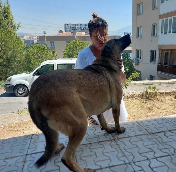 İzmir’de köpeğin ayaklarını bağlayıp yerde sürükledi