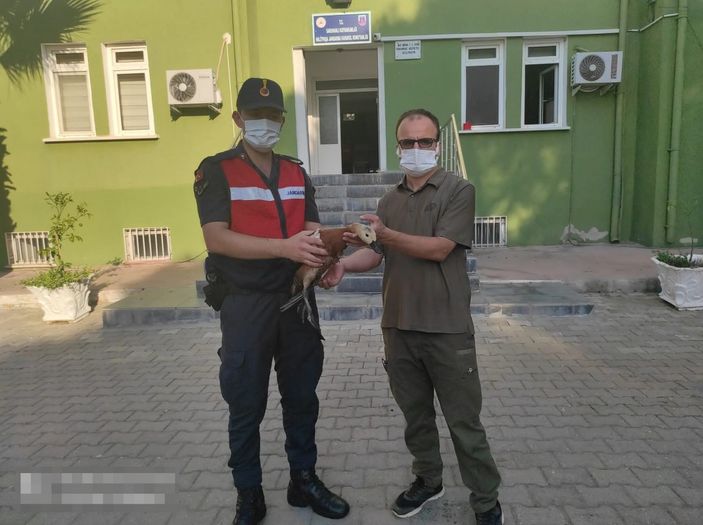 i Manisa’da kümesinde angut bulundu, cezayı yedi