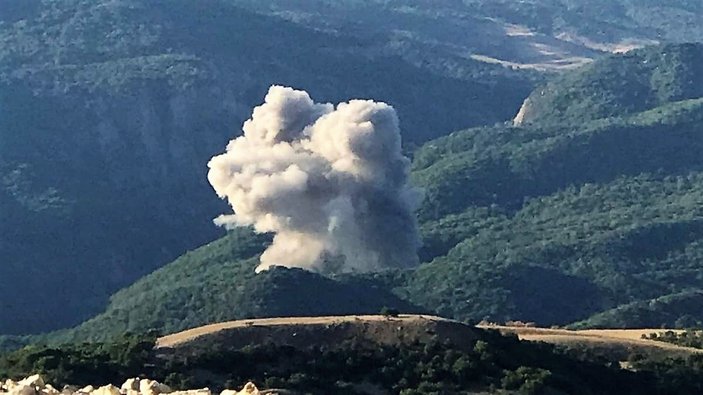 Tunceli'de ormanı ateşe veren PKK'lılara operasyon