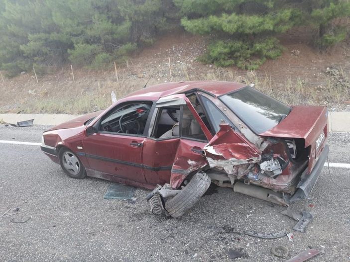 Adıyaman'da yola çıkan köpek kazaya neden oldu