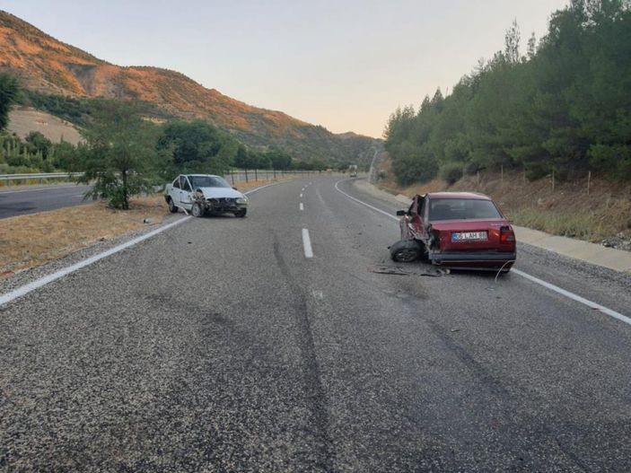 Adıyaman'da yola çıkan köpek kazaya neden oldu