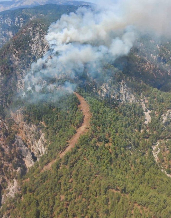 Muğla Köyceğiz'de orman yangını