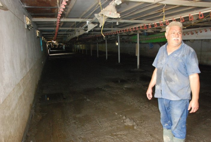 Bartın'da yaşanan sel felaketinde 24 bin tavuk telef oldu