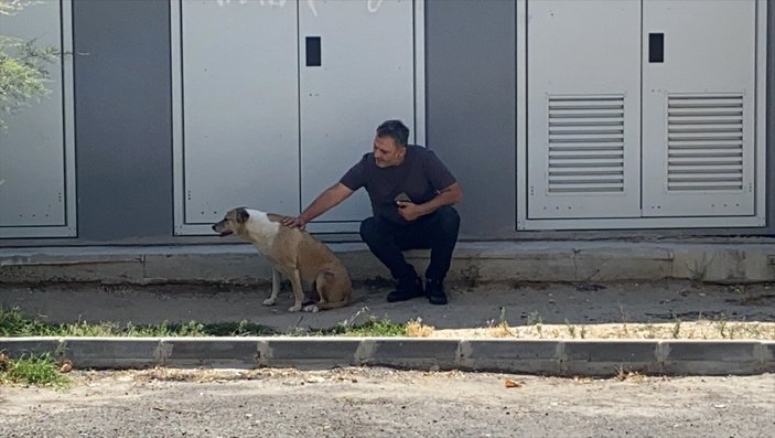 Tekirdağlı hayvansever Özay Kaya: Sokak hayvanına bu muameleme yapılamaz