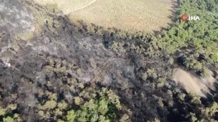 Heybeliada’da yangının bıraktığı hasar havadan görüntülendi