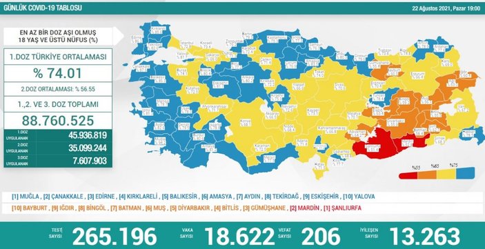 22 Ağustos Türkiye'de koronavirüs tablosu