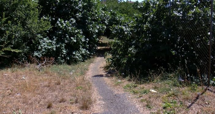 Maltepe’de 13 yaşındaki çocuğa cinsel istismarı, cebindeki para ortaya çıkardı