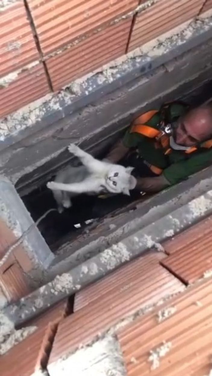 i Isparta’da apartman boşluğuna düşen kedi için halat sistemi kuruldu