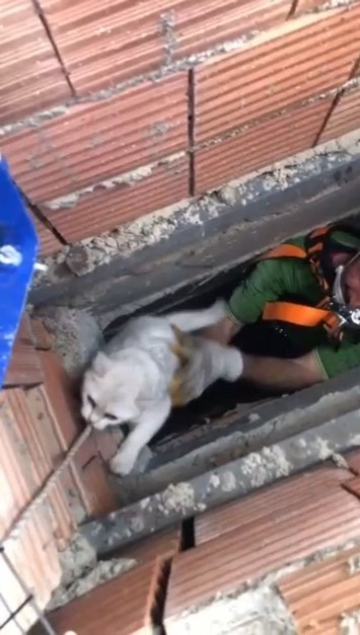 i Isparta’da apartman boşluğuna düşen kedi için halat sistemi kuruldu