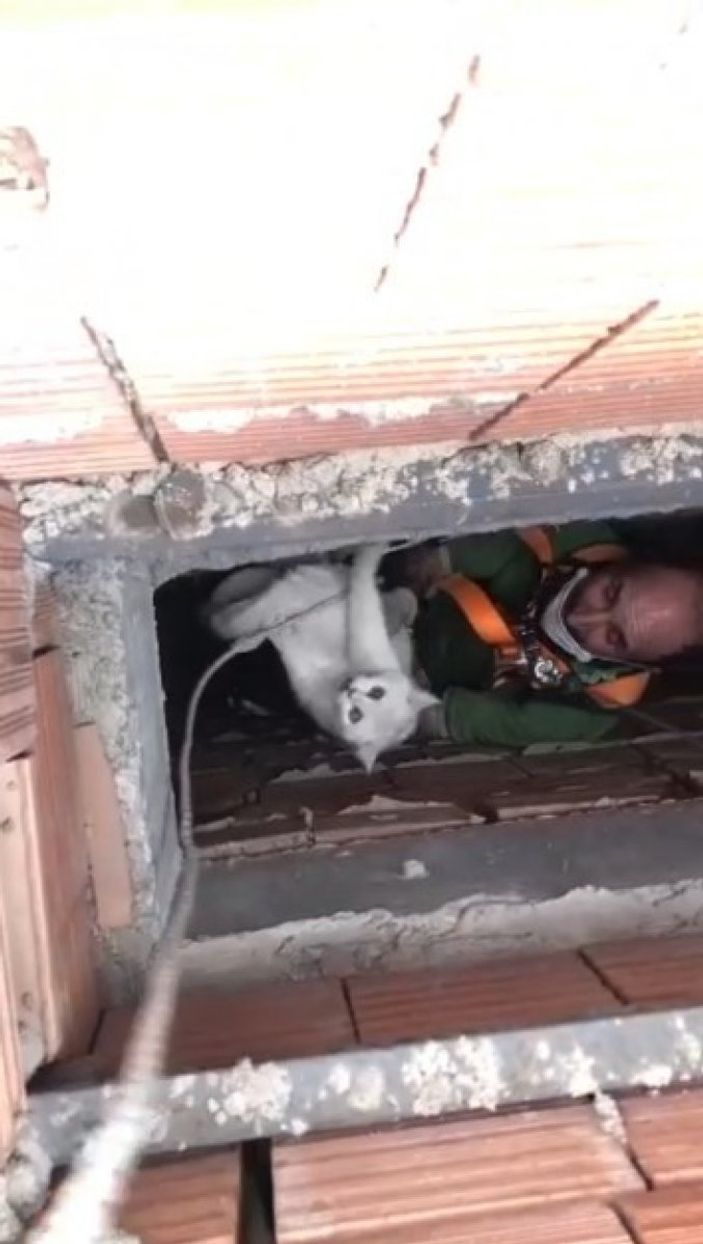 i Isparta’da apartman boşluğuna düşen kedi için halat sistemi kuruldu