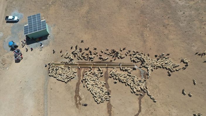 a Van'da besiciler, yaylaya su getirilişini halayla kutladı