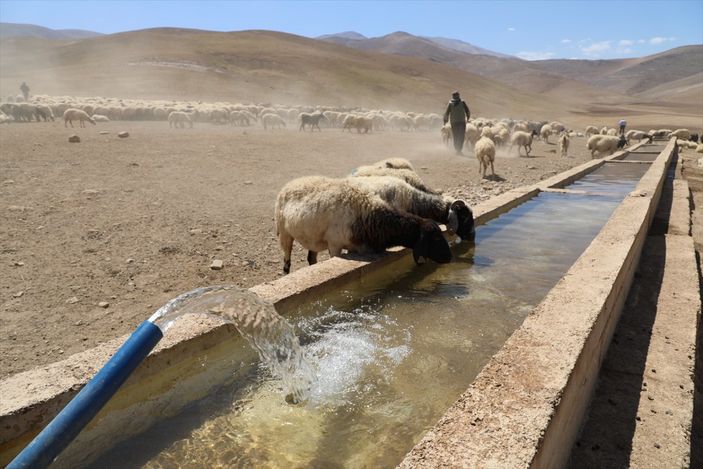 a Van'da besiciler, yaylaya su getirilişini halayla kutladı