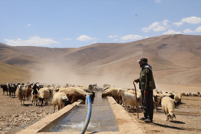 a Van'da besiciler, yaylaya su getirilişini halayla kutladı