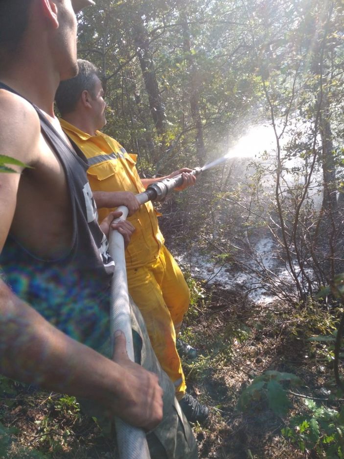 i Tokat’ta, ormanlık alanda yangın