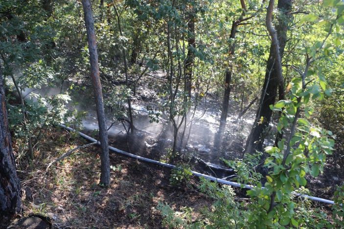 i Tokat’ta, ormanlık alanda yangın