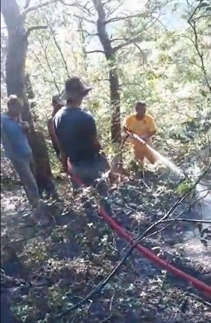 i Tokat’ta, ormanlık alanda yangın