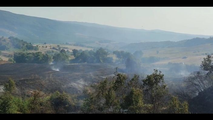 i Bursa'da tarla yangınına giden orman itfaiyesi kaza yaptı