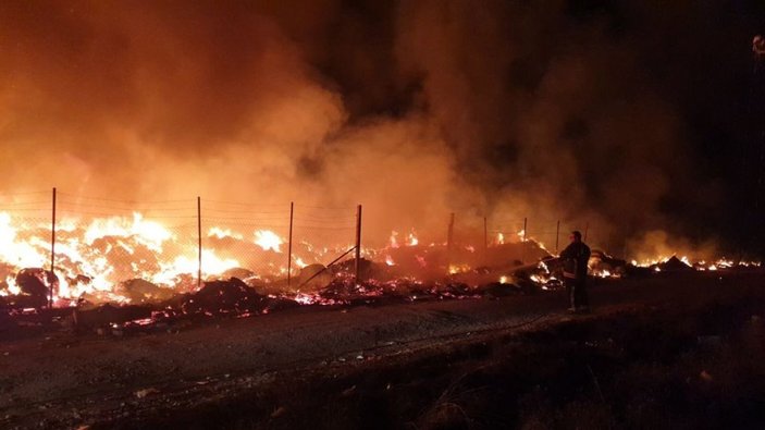 Yalova'da başlayan yangın söndürüldü
