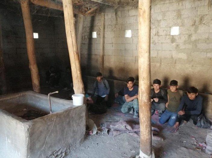 Van’da, 2 ahır içinde 42 kaçak Afgan göçmen yakalandı